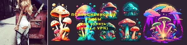 СК Коряжма