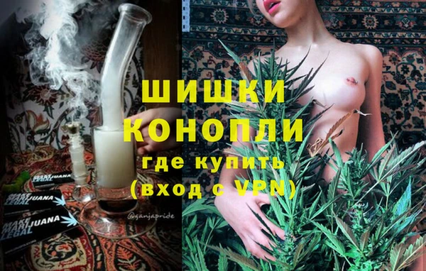СК Коряжма