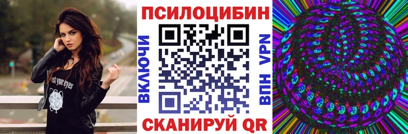 Галлюциногенные грибы Psilocybe  купить наркотики сайты  MEGA tor  Красково 